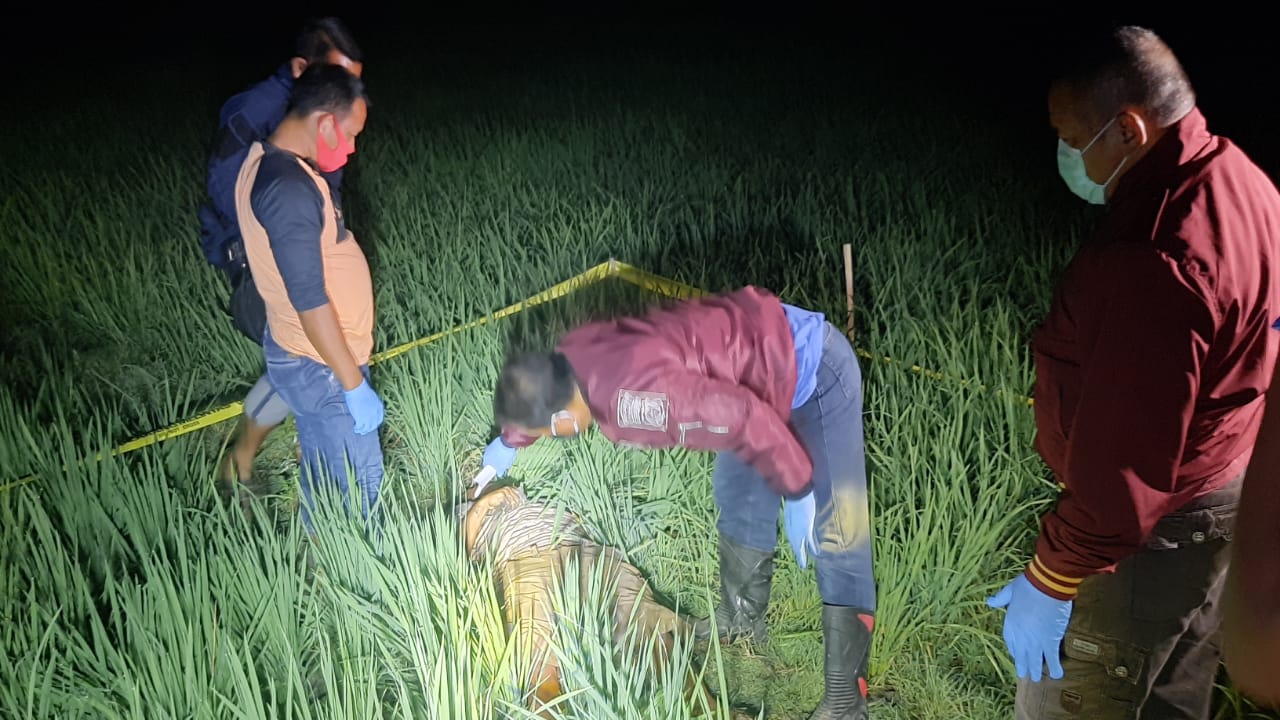 Korban Tewas Akibat Jebakan Tikus Beraliran Listrik Kembali Terjadi di Ngawi