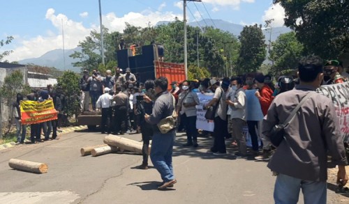 Delapan Miliar Tak Dibayar, Puluhan Supplier Kayu Sengon di Bondowoso Geruduk Pabrik Triplek 