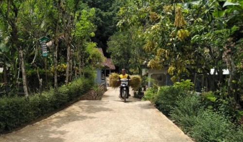 Para Pencari Rumput Mulai Menikmati Hasil Jalan TMMD 109 Purworejo