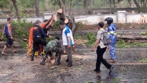 Anggota Koramil 05/Panarukan Ikut Kerja Bhakti Bersihkan Pohon Tumbang