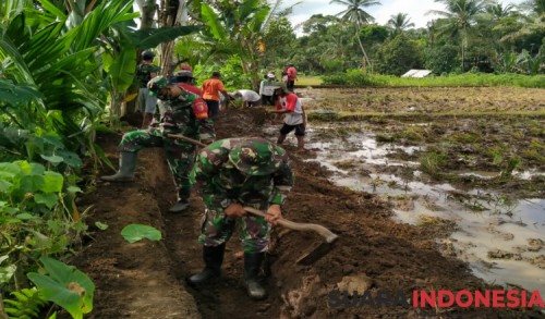 TNI di Banyuwangi Bantu Petani Perbaiki Irigasi