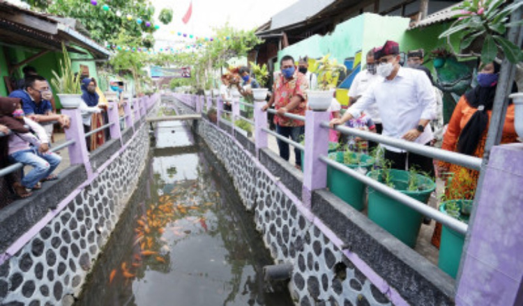 Dinas Perikanan Banyuwangi Gencarkan Tebar Ikan Terkendali, Guna Jaga Kebersihan Sungai