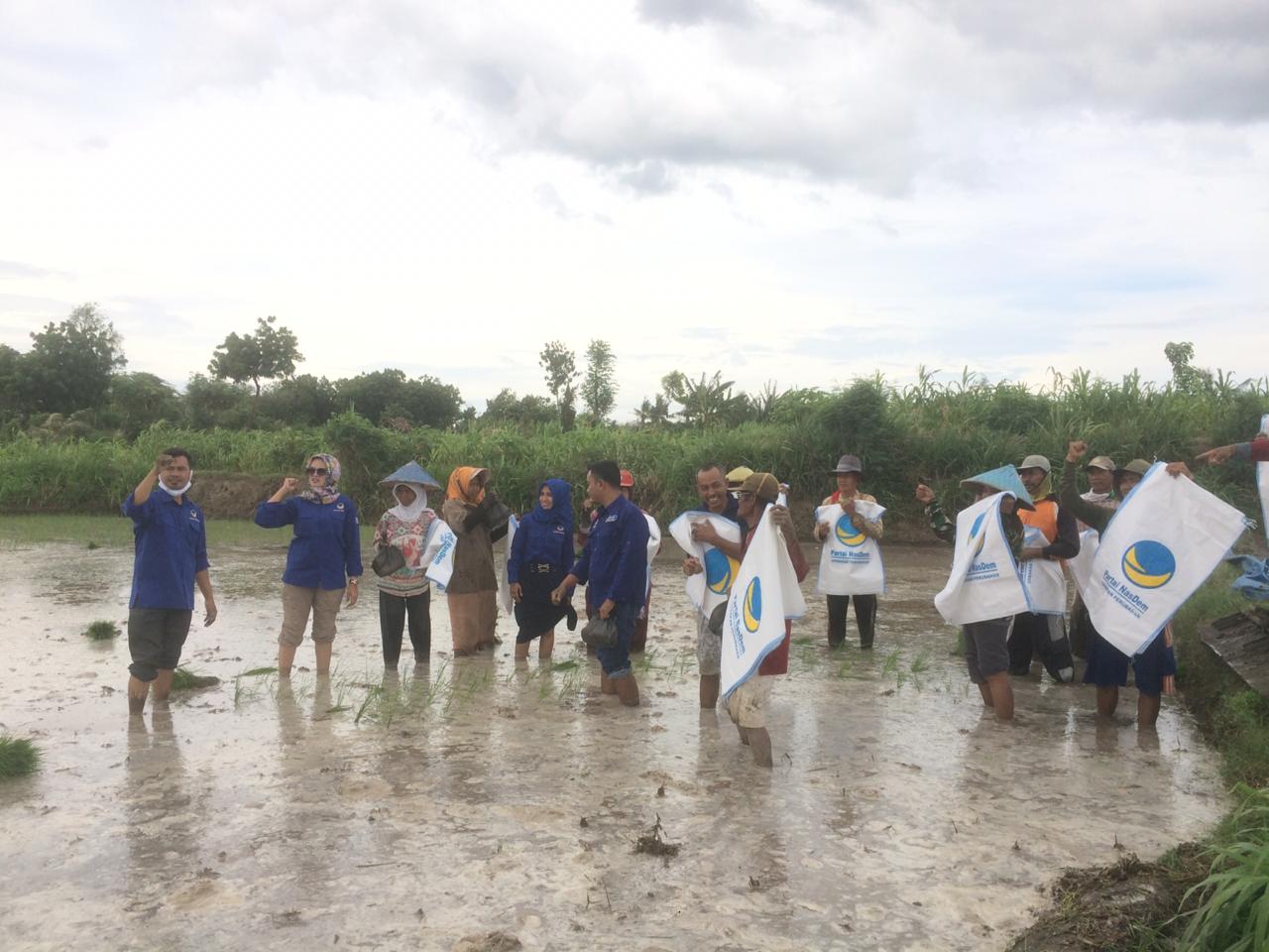 Partai NasDem Situbondo Siap Dampingi Kelompok Marginal  