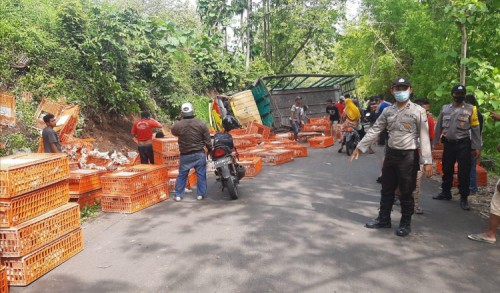 Akibat Mesin Mati, Truk Bermuatan Ayam Terguling di Jalan Ponorogo