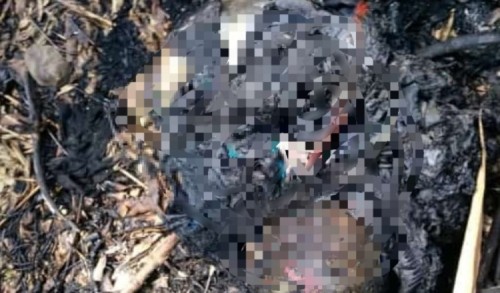 Di Jember, Ada Bayi Ditemukan Terbakar Hidup-hidup 