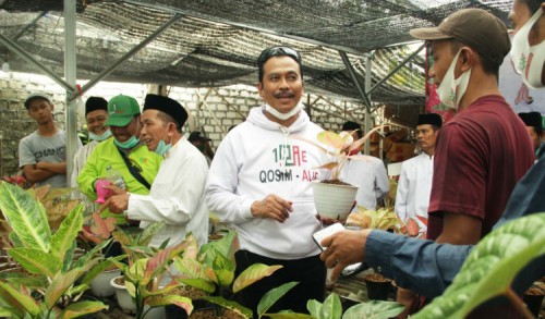 Qosim - Alif Optimis Jadikan Gresik Sentra Adenium dan Aglaonema di Indonesia