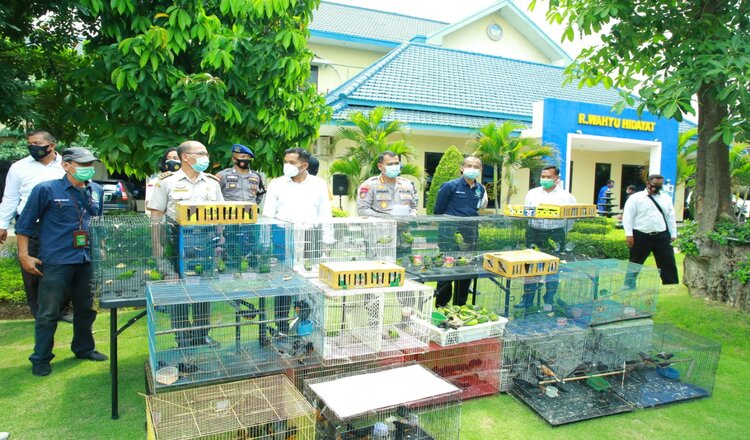 Diduga Selundupkan Satwa Dilindungi, Ditpolairud Polda Jatim Bekuk Pria Asal Banjarmasin 