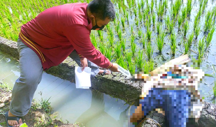 Tragis, Nenek di Tuban Tewas Tersengat Listrik Jebakan Tikus