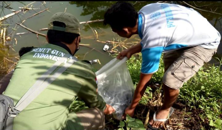 Tingkatkan Kesadaran Lingkungan, Pemuda di Banyuwangi Tanam Pohon dan Tebar Ratusan Benih Ikan