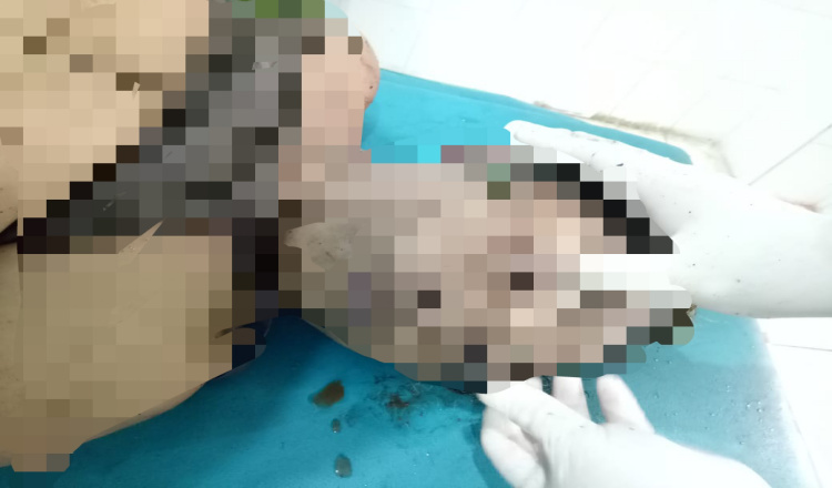 Terseret Air Bah, Seorang Pekerja Kebun di Banyuwangi Tewas