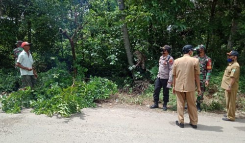 Antisipasi Bencana, TNI Polri bersama Warga di Pamekasan Potong Pohon di Pinggir Jalan