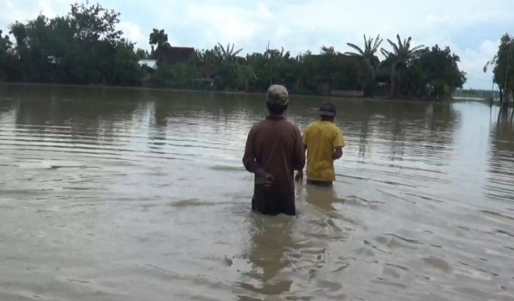 Bengawan Madiun Meluap, Banjir Terjang Kwadungan Ngawi Puluhan Rumah Terisolir