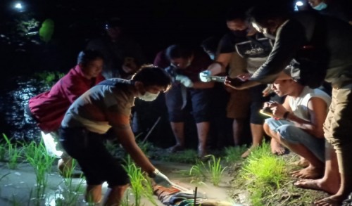 Terjadi Lagi, Jebakan Tikus di Ngawi Kembali Memakan Korban