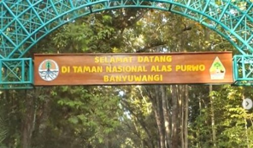 Sempat Tutup, Wisata Taman Nasional Alas Purwo Banyuwangi Kembali Dibuka