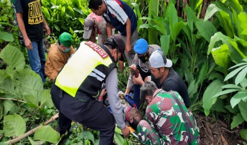 Apes, Pemotong Ranting Kayu di Ponorogo Meninggal Tersengat Listrik