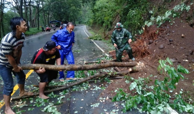 Pohon Tumbang Tutup Jalan, Babinsa Trenggalek Langsung Bertindak   