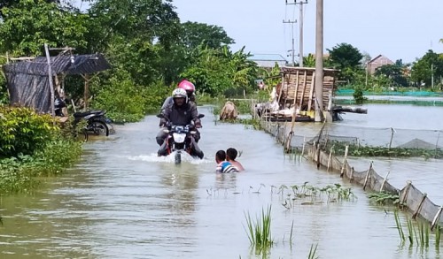 Banjir Luapan Bengawan Jero Lamongan, Rendam 3.402 Rumah
