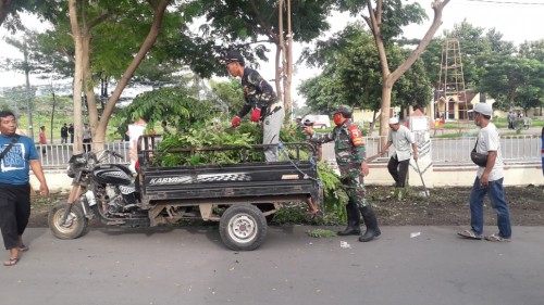 Babinsa Sukorejo Gotong Royong Bersihkan Ranting Pohon Bersama Santri Salafiyah Safi’iyah