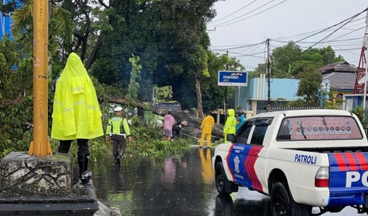 BMKG Keluarkan Peringatan Dini Angin Kencang Hingga Tinggi Gelombang 4 Meter di Malut