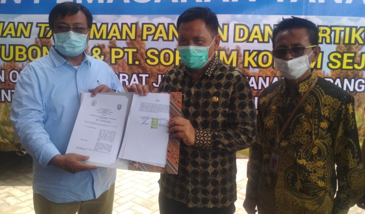 Mengantisipasi Krisis Pangan Pemkab Situbondo MoU Dengan PT. Sorgum