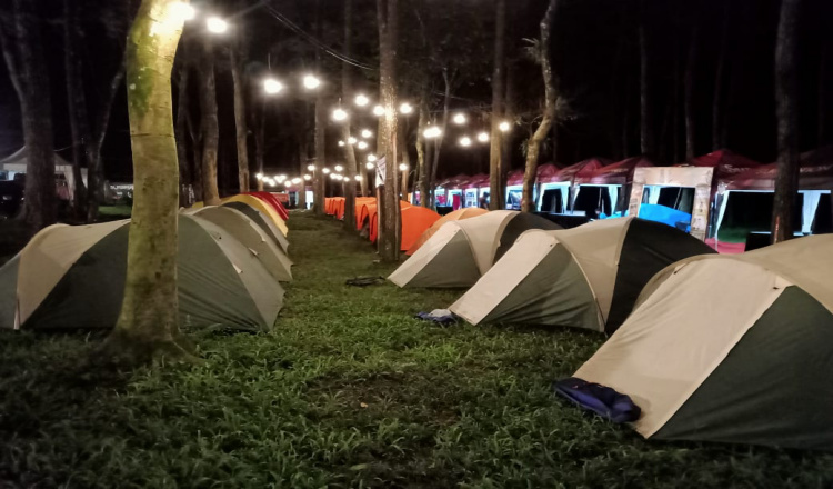 Wisata Hutan Pinus Songgon Banyuwangi, Rekomendasi Tempat Camping untuk  Akhir Pekan - SUARA INDONESIA