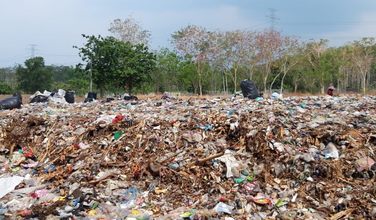 Pemkab Probolinggo Hasilkan Rp.450 Juta dari Retribusi Sampah