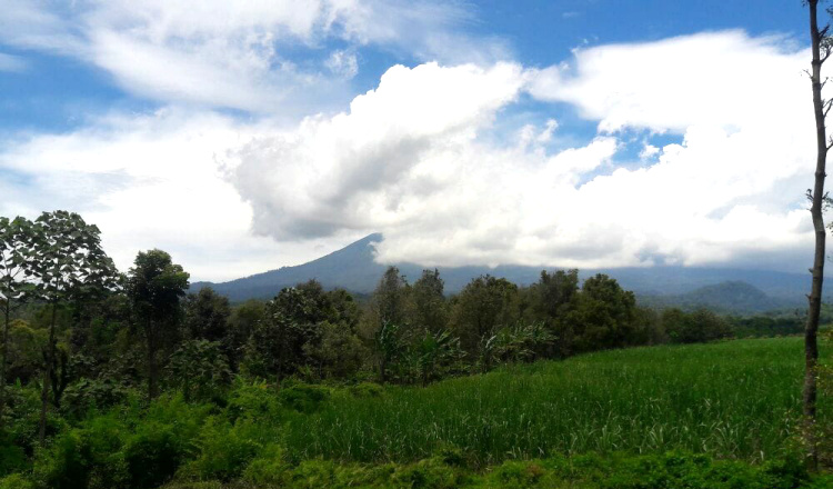 Tertutup Kabut, Kolom Erupsi Gunung Raung Tidak Teramati