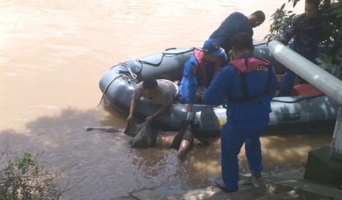 Warga Gresik yang Tenggelam di Kali Surabaya Ditemukan Meninggal