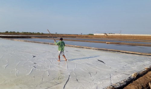 Anjlok di Tahun 2020, Target Produksi Garam Probolinggo Tahun Ini Tak Berkurang