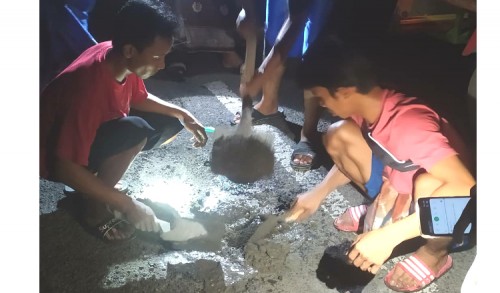 Banyak Keluhan, Pemuda dan Perangkat Desa Pangkahwetan Tambal Jalan Kabupaten Rusak
