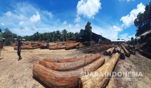 4 Pelaku Illegal Logging di Kutim Terancam Pidana 10 Tahun Plus Denda 5 Milyar