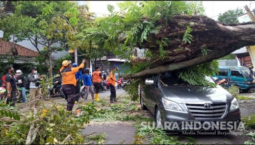 Angin Kencang Terjang Jember, 3 Warga Terluka