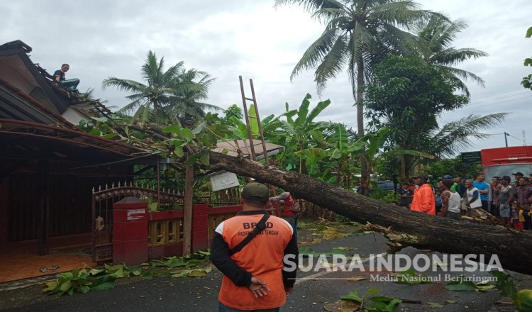 Akibat Hujan Deras dan Angin Kencang, Sejumlah Rumah di Purworejo Rusak Parah