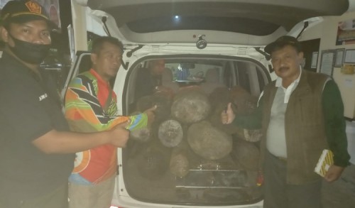 KPH Bondowoso Amankan Mobil Siaga Diduga Mengangkut Kayu Sono Keling