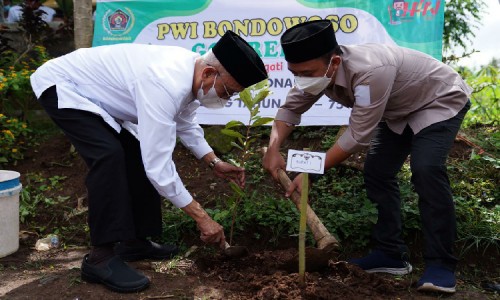 Peringati HPN dan HUT PWI ke-75, Bupati Salwa Ikut Tanam 1.000 Pohon Bersama PWI Bondowoso