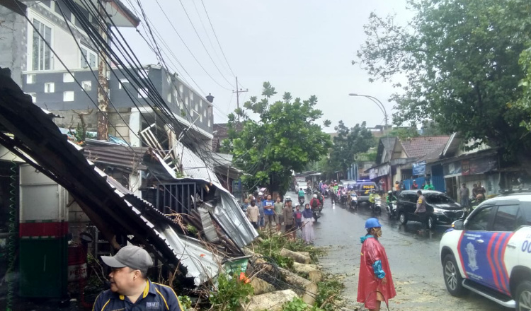 Hujan Deras, Pohon Tumbang Timpa Pengendara Motor dan Bangunan di Kota Malang