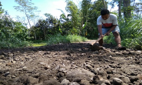 Warga Desa Kambang di Bondowoso Terpaksa Perbaikan Jalan Rusak Gunakan Dana Swadaya