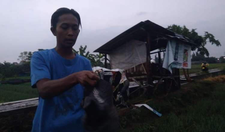 Berteduh di Gubuk Saat Hujan, Tiga Petani di Probolinggo Tersambar Petir