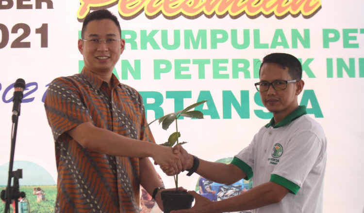 Fasilitasi Petani, Pertansia Jember Launching KUR-BNI Budidaya Tanaman Porang