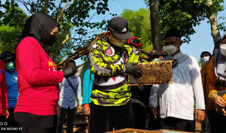 Ajak Puluhan Guru, Wali Kota Madiun Ingin Semua Sekolah Ada Ekstra Kurikuler Ternak Lebah Madu