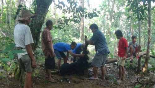 Tradisi Baritan Desa Somorejo, Warga Potong 8 Kambing
