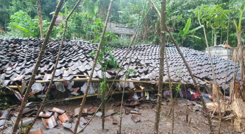 Hujan Deras, Rumah Warga Desa Karangrejo Ambruk