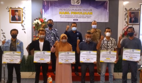 BPIU2K Karangasem-Bali Sosialisasikan Penggunaan Induk Hasil Pemuliaan Pada Petambak Tuban
