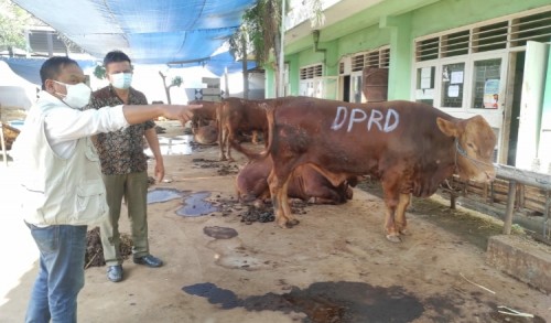 DKPP Surabaya Terjunkan Tim Pemeriksa Kesehatan Hewan Kurban, DPRD: Langkah yang Efektif