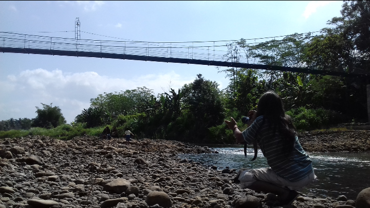 Terpanjang di Purworejo, Jembatan Semapop Jadi Ajang Selfi