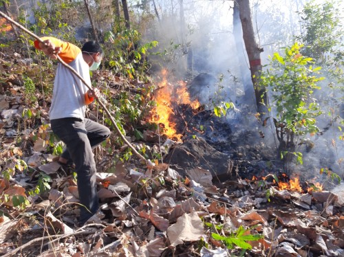 Tiga Hektare Hutan Jati di Situbondo Terbakar