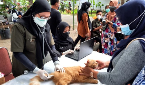Banyuwangi Genjot Program Vaksinasi Rabies untuk Hewan Peliharaan