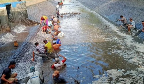 Jaga Pasokan Air ke Sawah Petani, Dinas Pengairan Banyuwangi Lakukan Pengeringan Irigasi