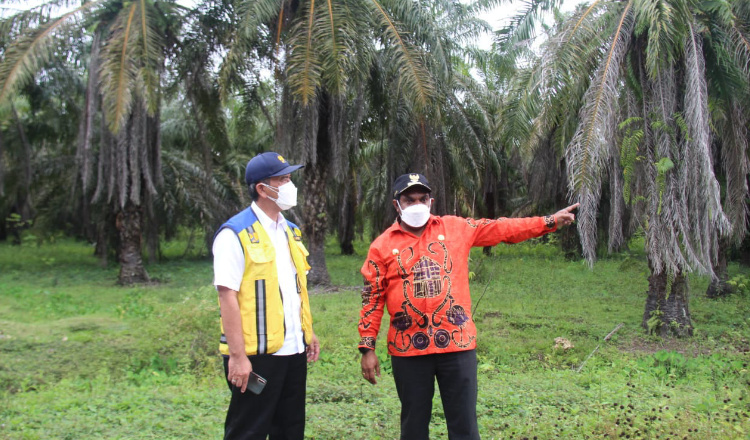 Keerom Menuju Lumbung Jagung Nasional, Bupati Bersama Dirjen PUPR Tinjau Lokasi