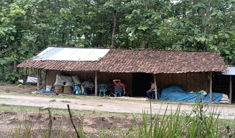 Memprihatinkan, Seorang Guru di Ngawi Bersama 3 Anaknya Tinggal Seatap dengan Kambing